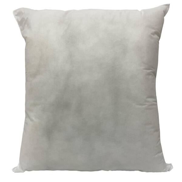 22 pillow insert