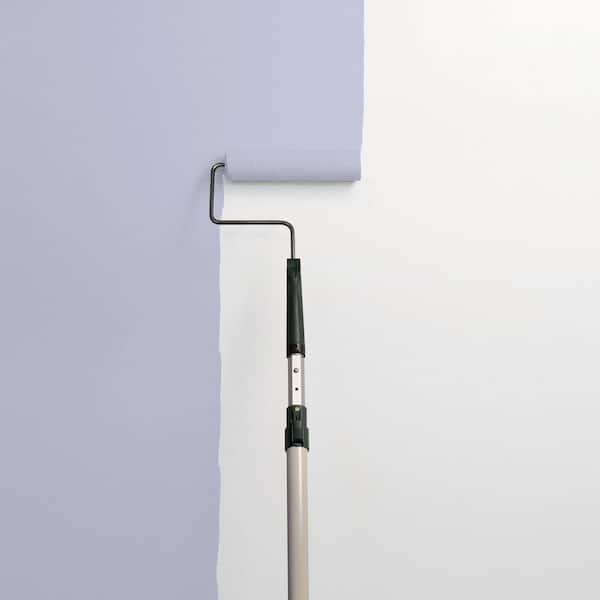 Cosmic PPG1171-4 Paint