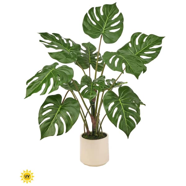 3' UV Potted Monstera Plant