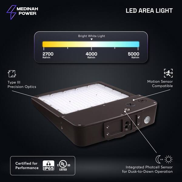 Solar Goes Green 990-Lumen 250-Watt Gray Low Voltage Solar LED Flood Light Motion Sensor