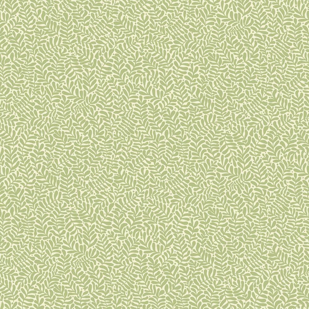 Anna Light Green Fern Trail Non Woven Paper Wallpaper Sample price history on PriceWatchPro