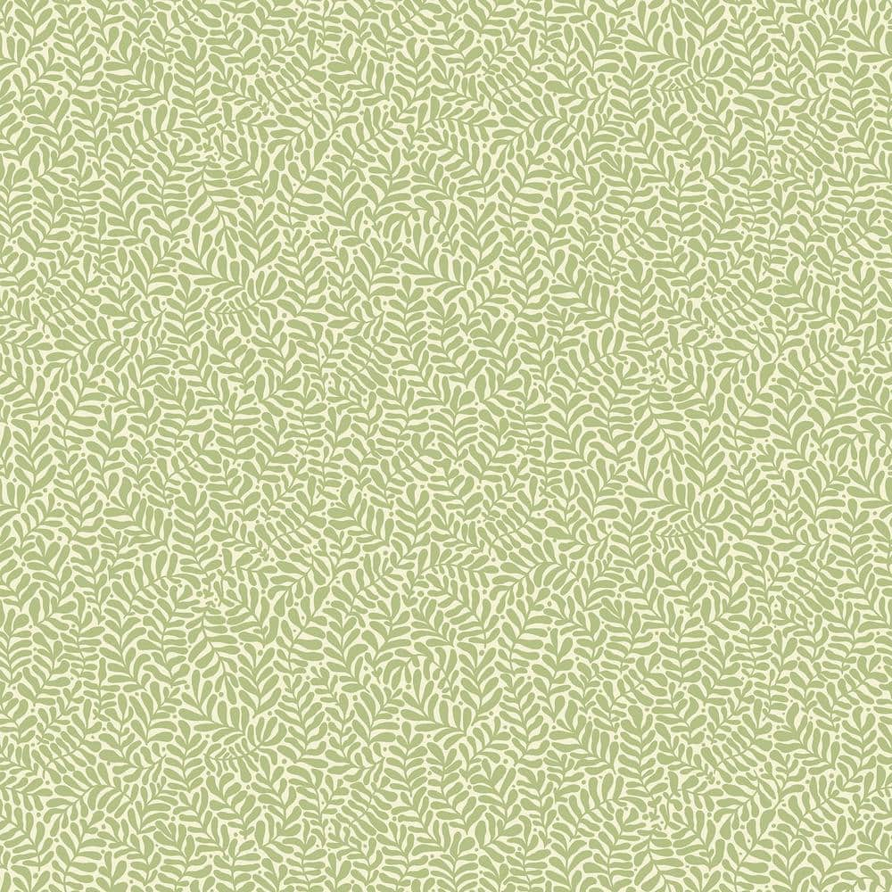 A-Street Prints Anna Light Green Fern Trail Non Woven Paper Wallpaper ...