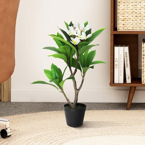 LIVING LUXURY 2.25 ft. Real Touch Cream White Artificial Plumeria Tree Tropical Plant in Pot