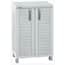 Rimax 71.7 in. H x 25.6 in. W x 17.7 in. D Large Storage Cabinet in ...