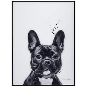 "French Bulldog" Black and White Pet Paintings on Printed Glass Encased with a Gunmetal Anodized Frame
