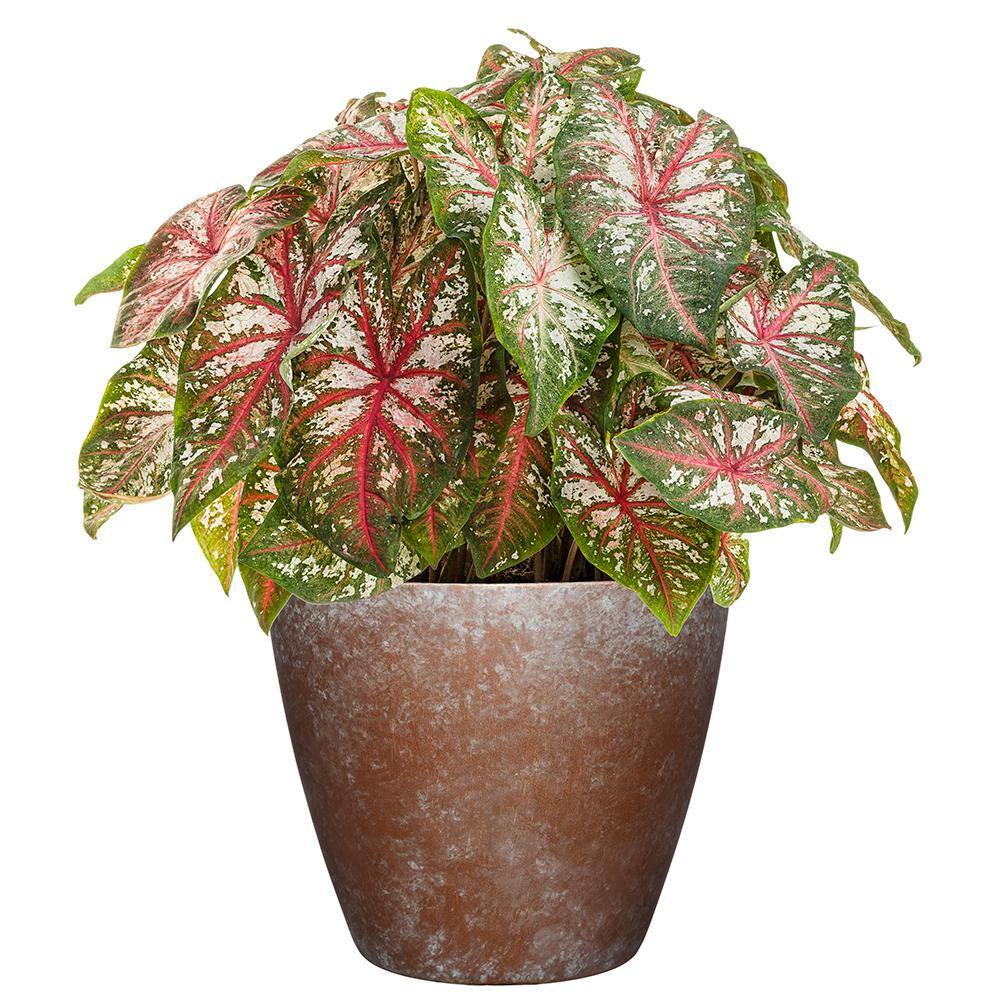 Vogue 8" Weathered Copper Resin Round Planter Pot