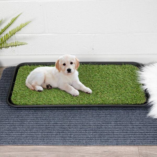 Grass Pad Potty Pet Training Tray, Patio Grass For Dogs