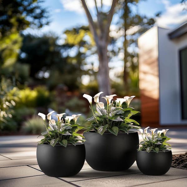 11.5 in.,15 in.,19 in. Large Charcoal Black Concrete Round planter / Pot with drainage holes (Set of 3)