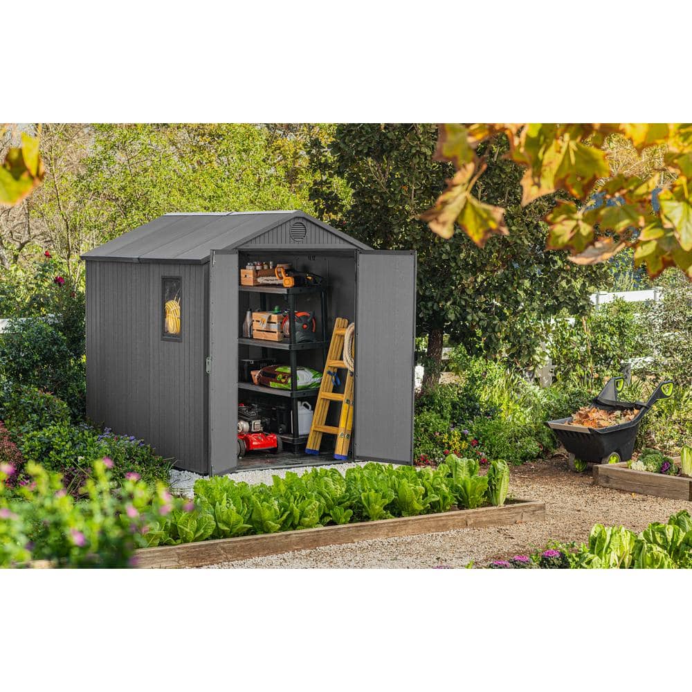 Graphite 6' x 8' Outdoor Storage Shed with Windows