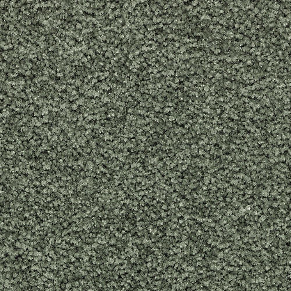 8 in. x 8 in. Texture Carpet Sample - Unblemished I -Color Global Green price history on PriceWatchPro