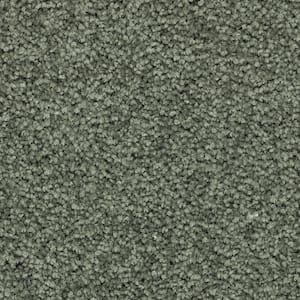 Unblemished I  - Global Green - Green 45 oz. Triexta Texture Installed Carpet