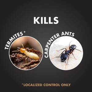 Terminate 32 oz. Concentrate Termite and Carpenter Ant Killer