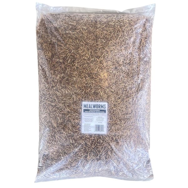 10 lb. Bag Dried Mealworms for Chicken, Duck, Poultry, Fowl, and Small Pets