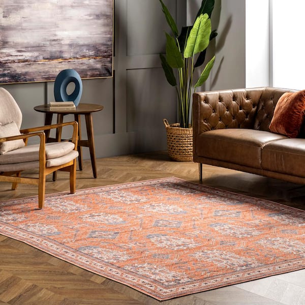 Sky Machine Washable Global Inspired Rust 4 ft. x 6 ft. Indoor Area Rug