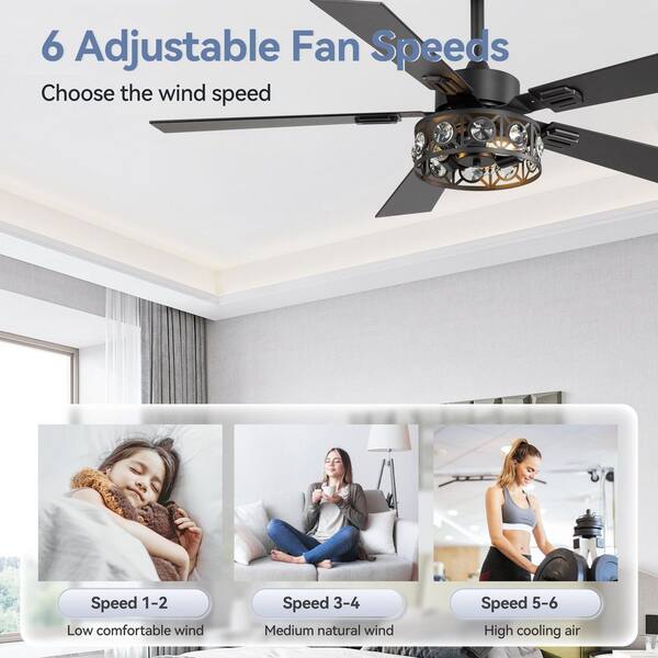Breezary Sergio 48 in. Indoor Crystal Black Ceiling Fans with