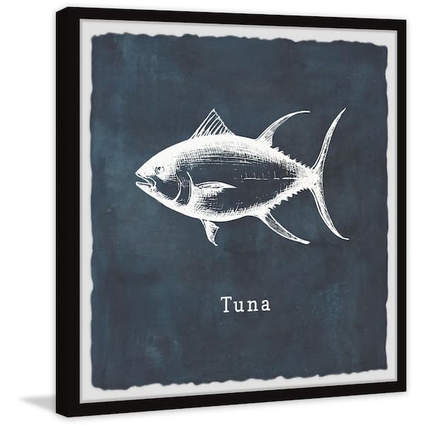 Tuna Free Stock Vectors