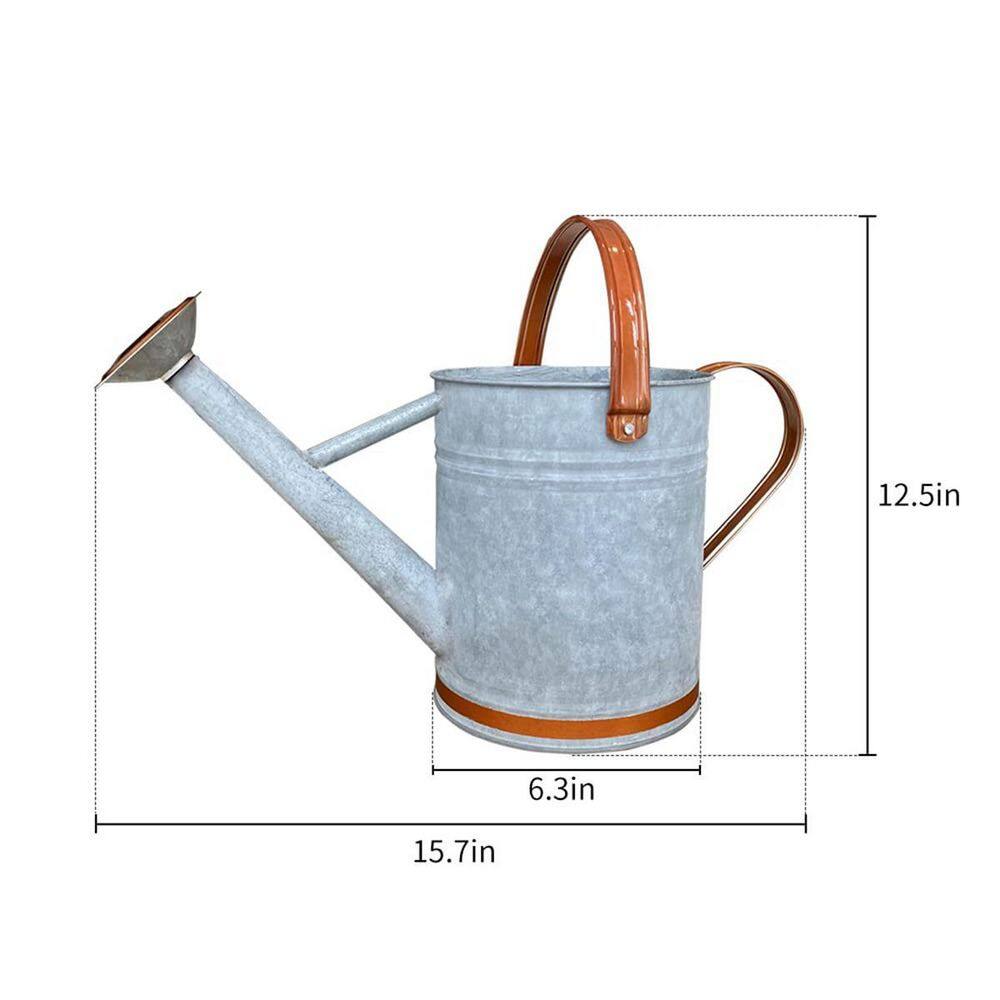 Light Blue Galvanized Metal Watering Can with Removable Spout