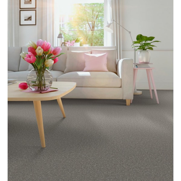 Park Royal-Color Safari Brown 52 oz. Nylon Texture Installed Carpet