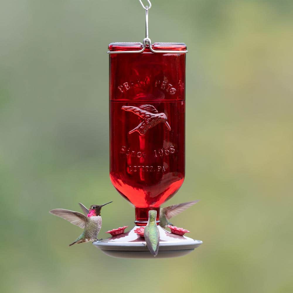 Red Antique Hanging Glass Hummingbird Feeder with Metal Accents