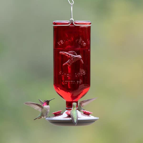 Best-1 Glass Hummingbird Feeders – Set Of 2, 16 Oz Each With 8 Ports And Perches