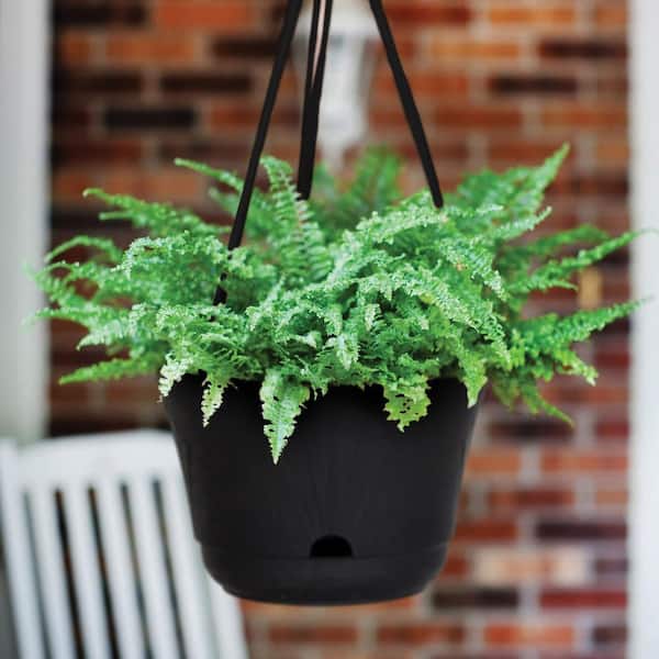 Lucca 13 in. Black Plastic Self-Watering Hanging Basket Planter