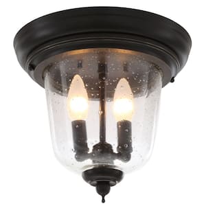 Ashmore Collection 2-Light Antique Bronze Clear Seeded Glass New Traditional Outdoor Close-to-Ceiling Light