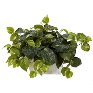 14 in. Artificial H Green Pothos with White Wash Planter Silk Plant