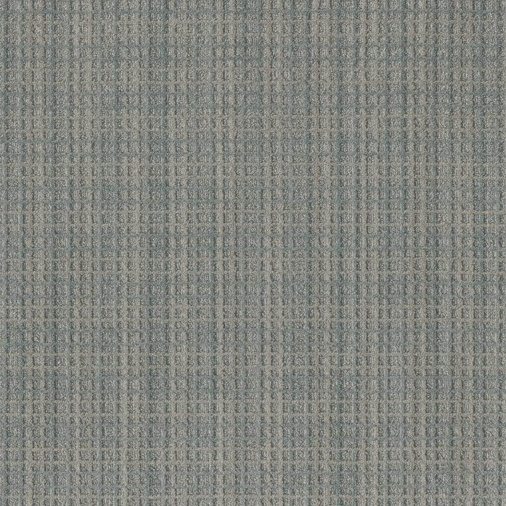 8 in. x  8 in. Loop Carpet Sample - Rosedale -Color Dixon price history on PriceWatchPro