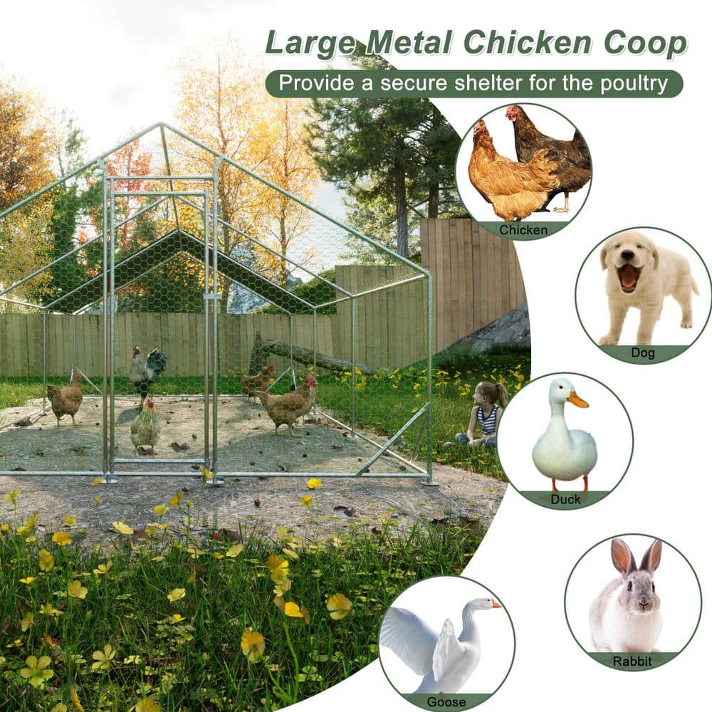 Large Galvanized Steel Chicken Coop with UV Cover
