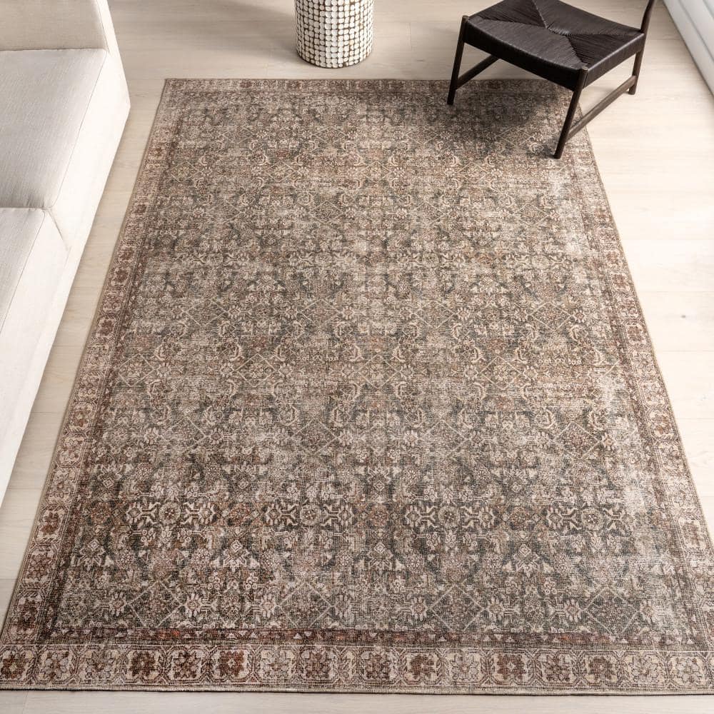 Hillstone Brown 7 ft. 10 in. x 10 ft. Traditional Vintage Medallion Area Rug price history on PriceWatchPro