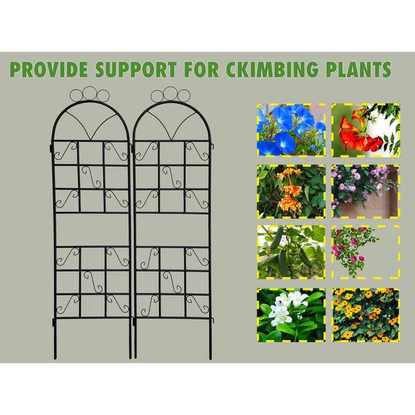 Unbranded - 72 in. x 19.6 in. Black Iron Garden Trellis Rustproof Trellis for Climbing Plants (2-Pack)