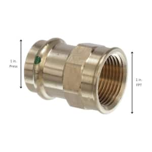 ProPress 1 in. x 1 in. FPT Zero Lead Bronze Adapter (10-Pack)