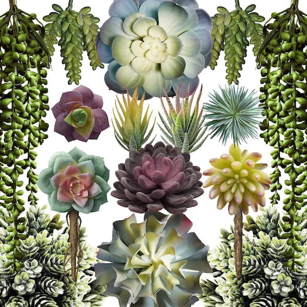 foam flower seeds Foam Flower | White | Plant main image 0