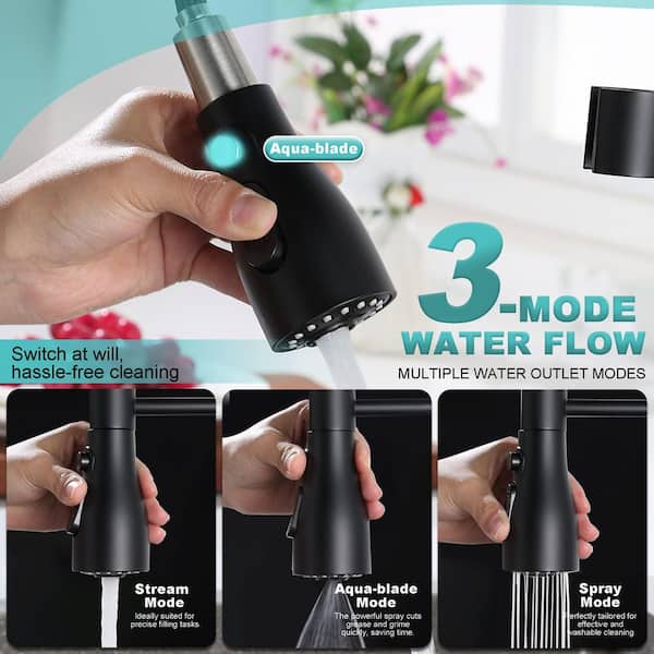 16.9 in. Single-Handle Pull-Down Sprayer Kitchen Faucet with 360 ° Swivel Spout in Matte Black