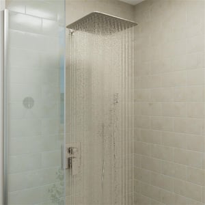 2-Spray Patterns with 2.0 GPM 12 in. Wall Mount Dual Shower Head Hand Shower Faucet in Brushed Nickel (Valve Included)