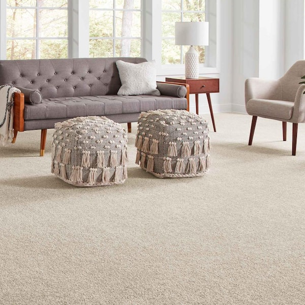 Phenomenal II  - Griffin - Brown 62.7 oz. Triexta Texture Installed Carpet