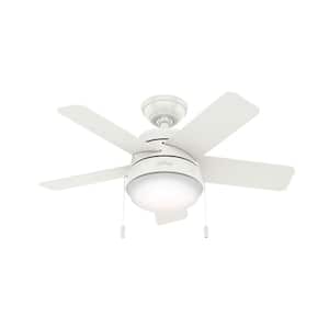 Tarrant 36 in. LED Indoor Fresh White Ceiling Fan with Light Kit