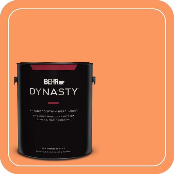 BEHR DYNASTY 1 gal. #230B-5 Indian Paint Brush Matte Interior Stain-Blocking Paint & Primer