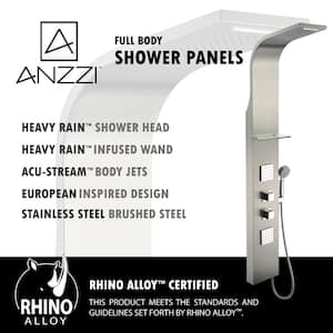Niagara 64 in. 2-Jetted Full Body Shower Panel with Heavy Rain Shower and Spray Wand in Brushed Stainless Steel
