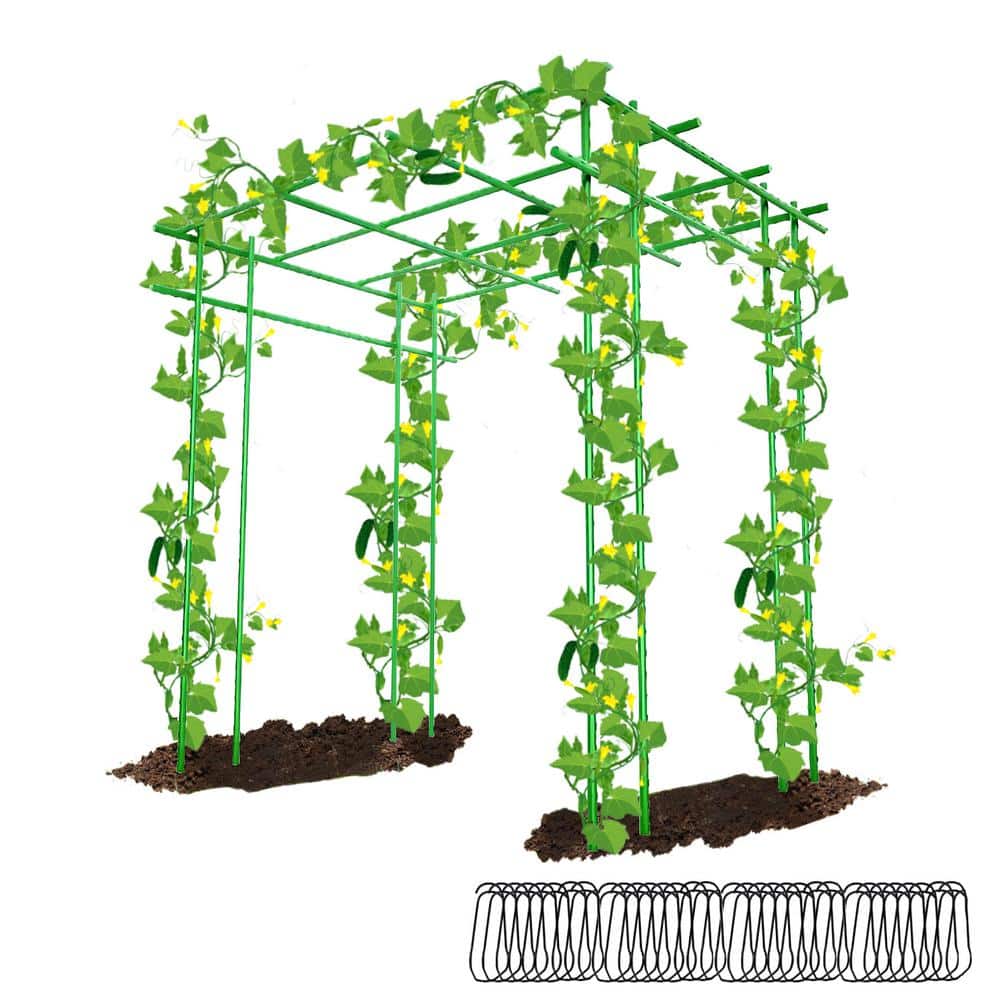 Mr. Garden 6 in. L x 6 in. W x 6 in. H Garden Trellis for Climbing Plants Vegetables Outdoor