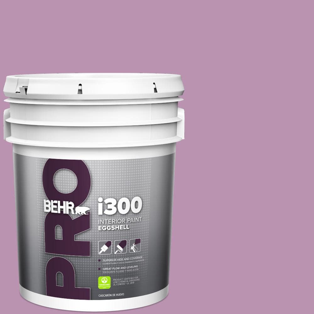 5 gal. #HDC-MD-10 Blooming Lilac Eggshell Interior Paint price history on PriceWatchPro