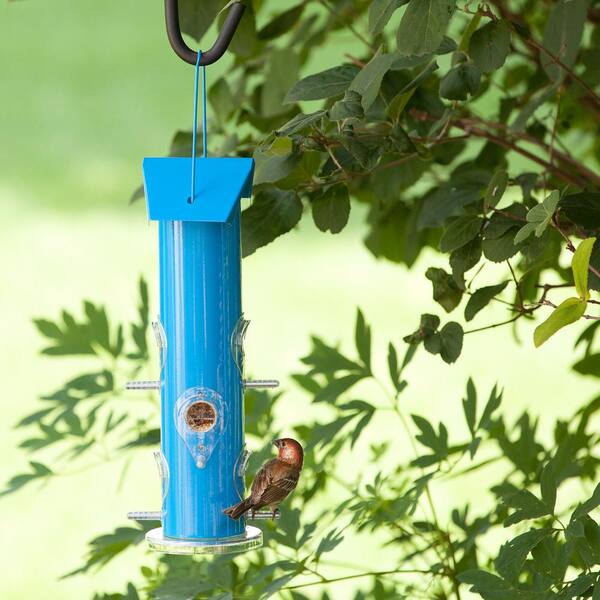 BIRD INSECT Build a Discounted Bundle SQUIRREL Feeders Hotels Homes 