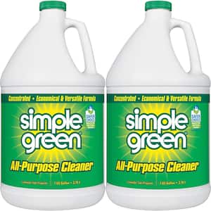 1 Gal. Concentrated All-Purpose Cleaner (2-Pack)