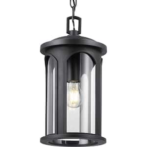 Faywood 1-Light Matte Black Outdoor Pendant Light with Clear Glass