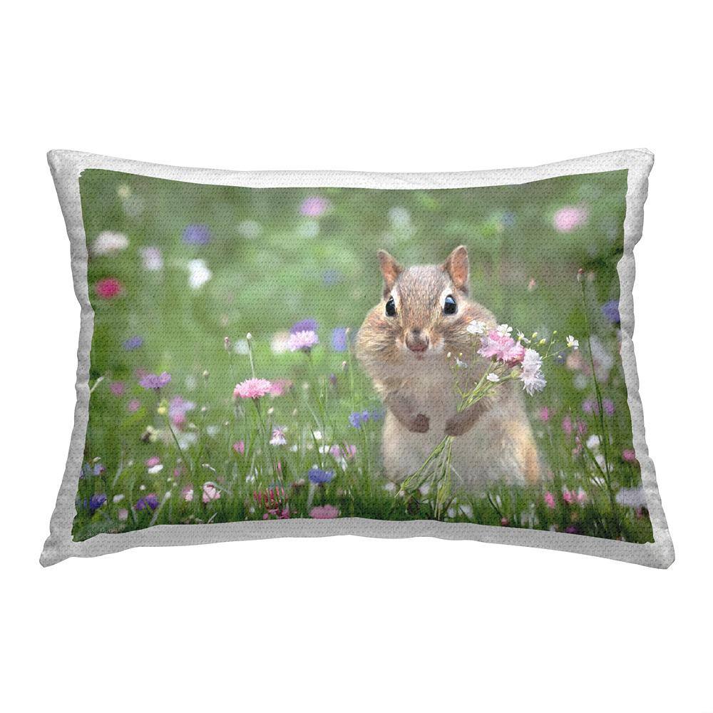 Squirrel and Meadow Flowers Multi-Color Rectangular Outdoor Throw Pillow price history on PriceWatchPro