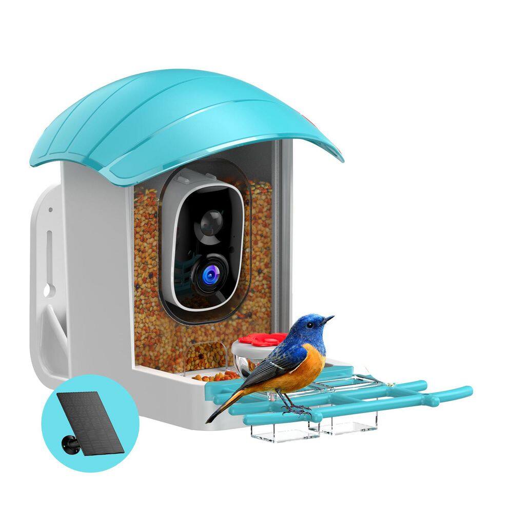 Solar Powered Plastic Mount Smart Bird Feeder Camera AI Identification 2K HD WiFi Live View for Wild Birds 1 Piece price history on PriceWatchPro