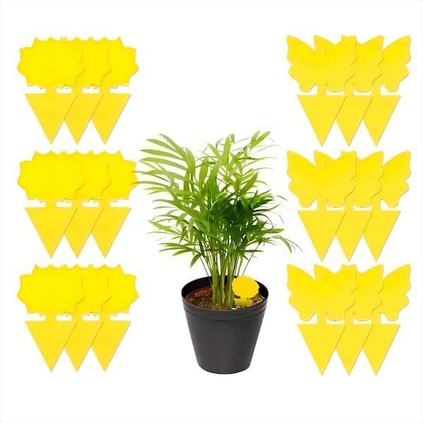 48 Pack Fruit Fly Trap & Fungus Gnat Traps-Non-Toxic Odorless Sticky Traps for Indoor/Outdoor, Plant Protection