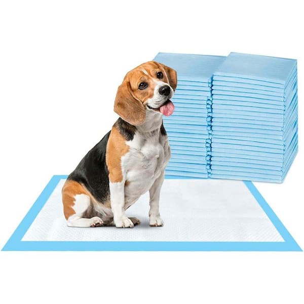 Super Absorbent Washable Pee Pads for Dogs Large 35 x 31 (2-Pack) Puppy  Pads pet Training Pads Reusable Pee Pads for Dogs 100% Waterproof Dog Puppy