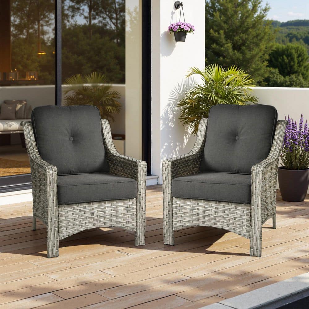 Ergonomic Arm 2-Piece Gray Wicker Outdoor Lounge Single Chair Patio Dining Chairs with Black for Backyard price history on PriceWatchPro