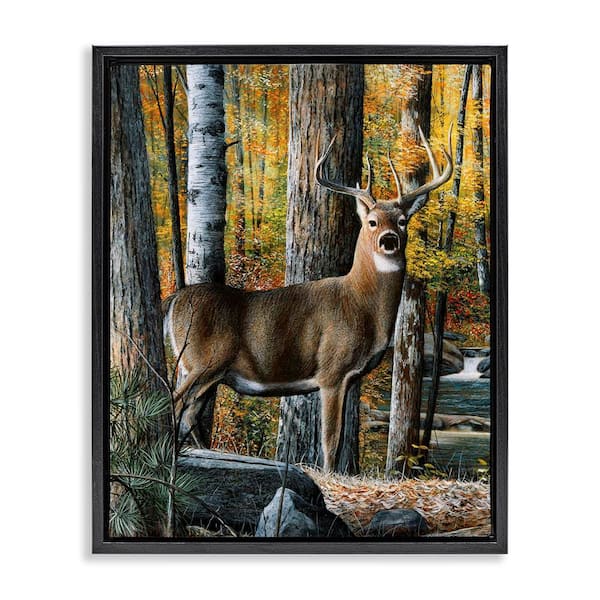 Stupell Industries Deer Among Autumn Foliage by Kevin Daniel Black Floater Frame Graphic Animal Art Print 31 in. x 25 in.
